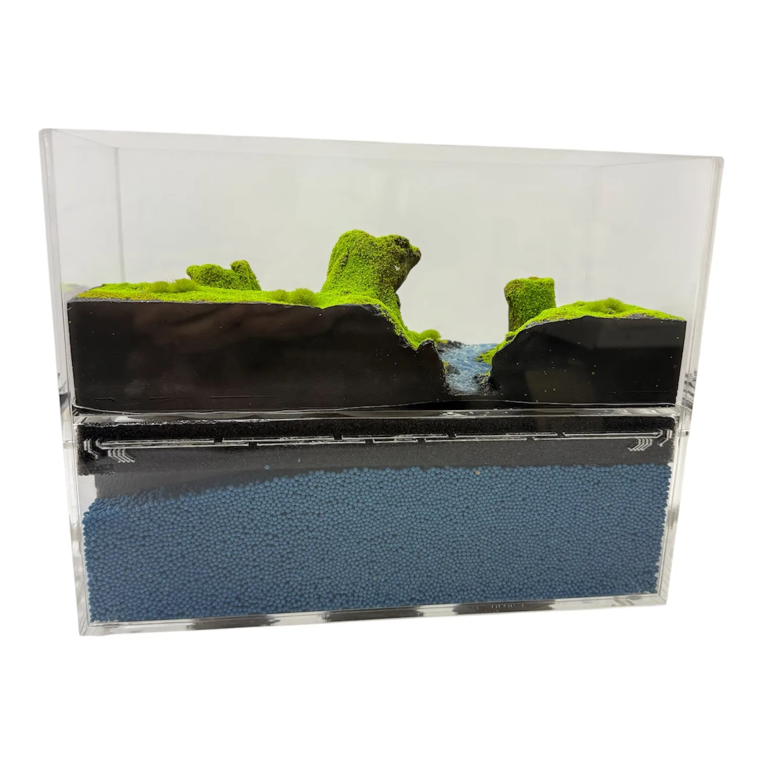 Formicarium Ant Paradise Pro