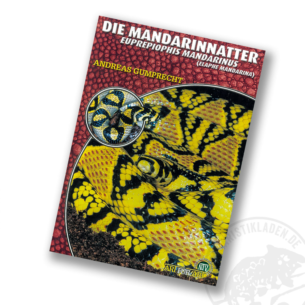 Art für Art Die Mandarinnatter Euprepiophis mandarinus - Elaphe mandarina