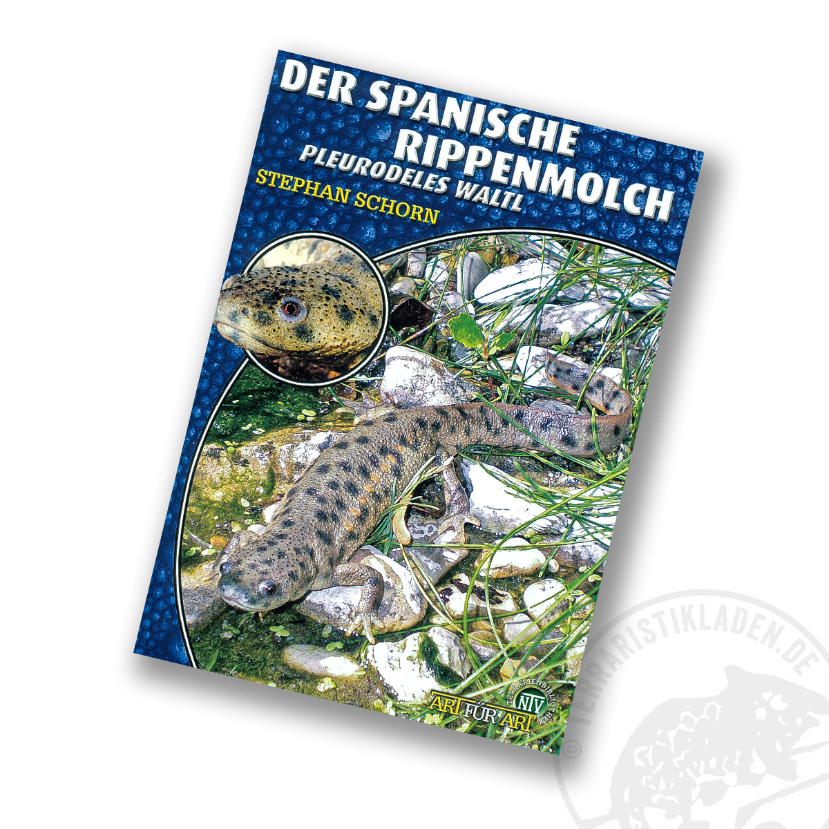 Art für Art Der Spanische Rippenmolch