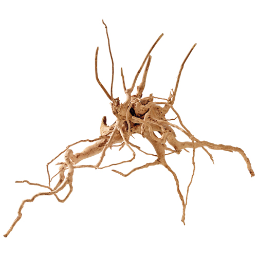 Fingerwood Terrascaping S 20-30 cm