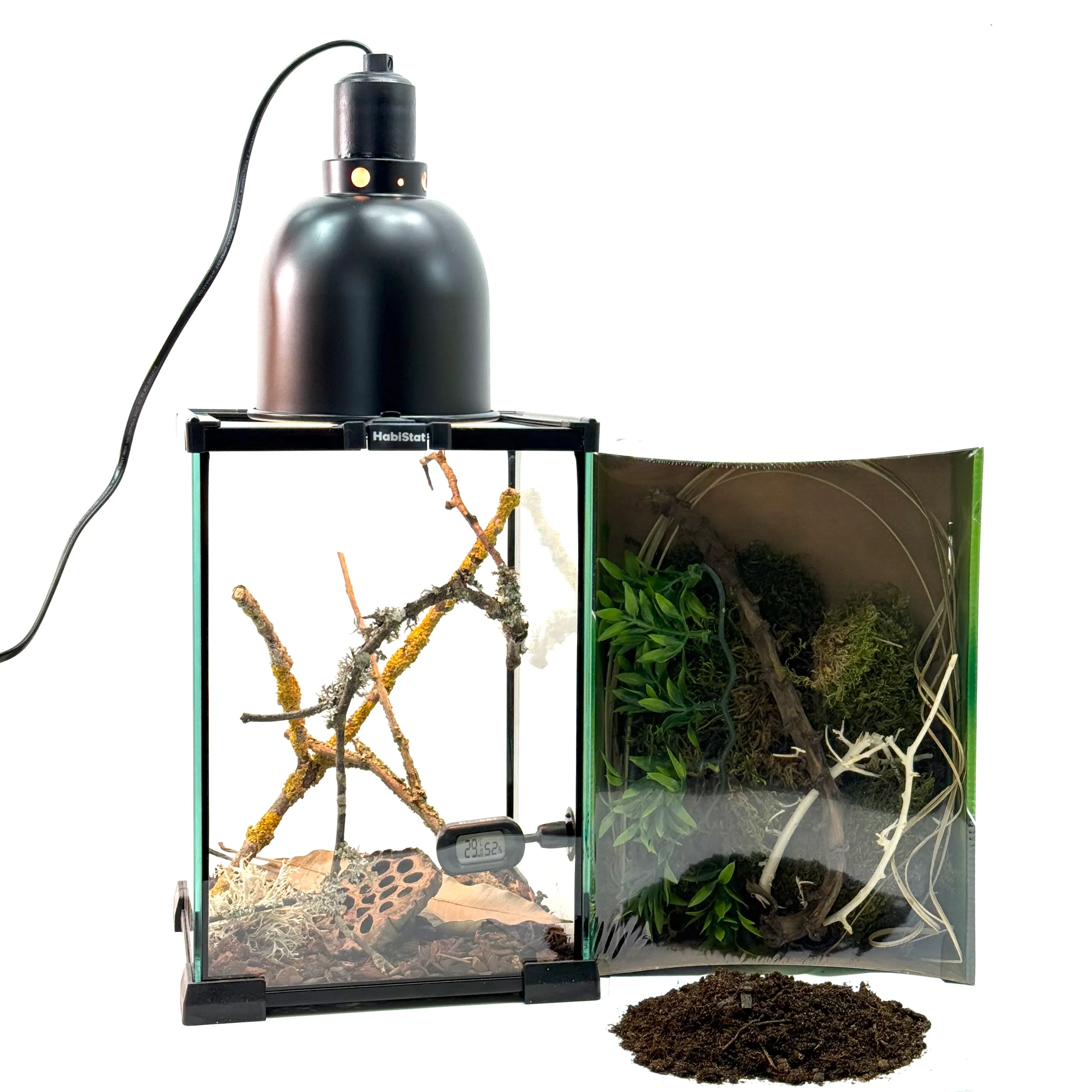 Insekten Starterkit