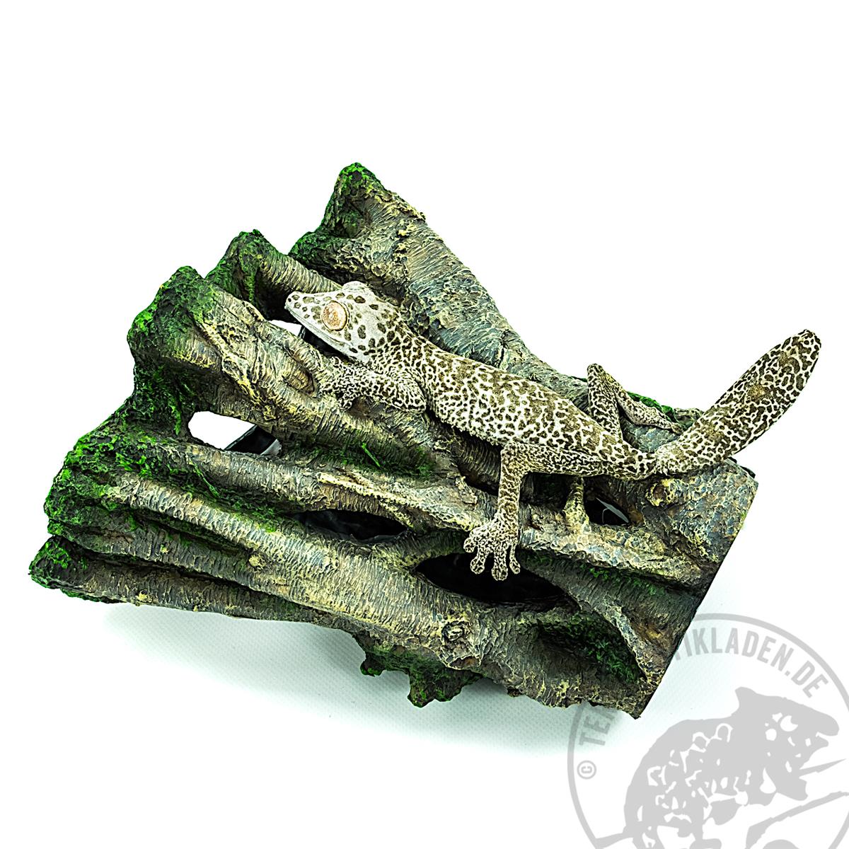 Uroplatus henkeli Blattschwanzgecko