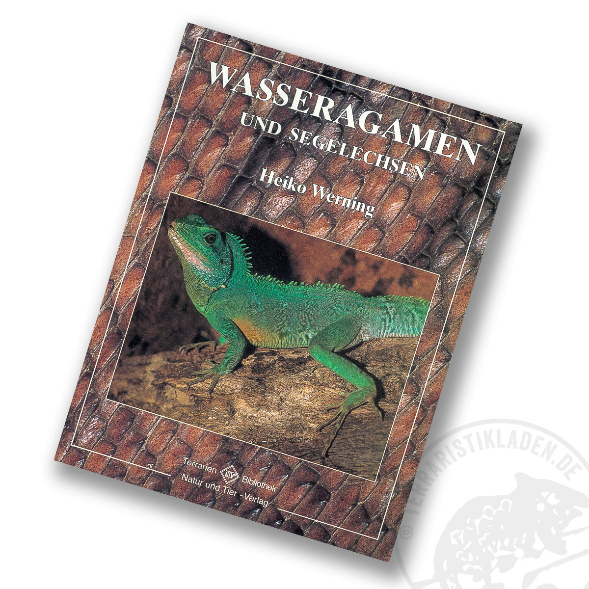 Wasseragamen und Segelechsen