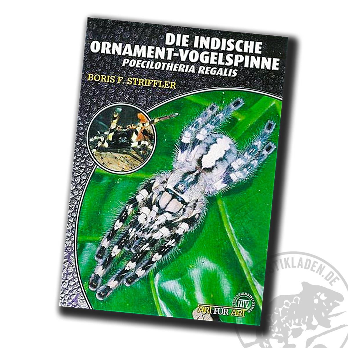 Art für Art Die Indische Ornamentvogelspinne