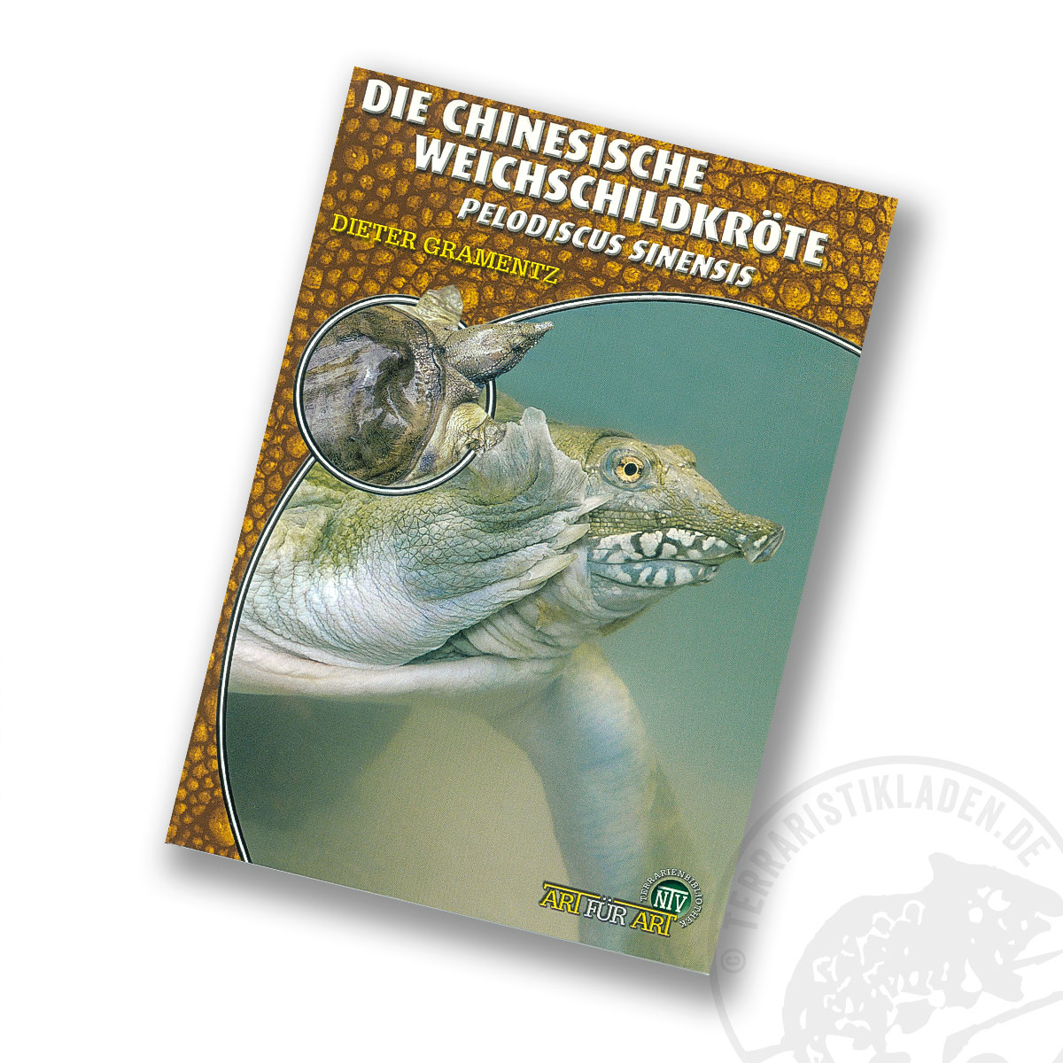 Art für Art Die Chinesische Weichschildkröte