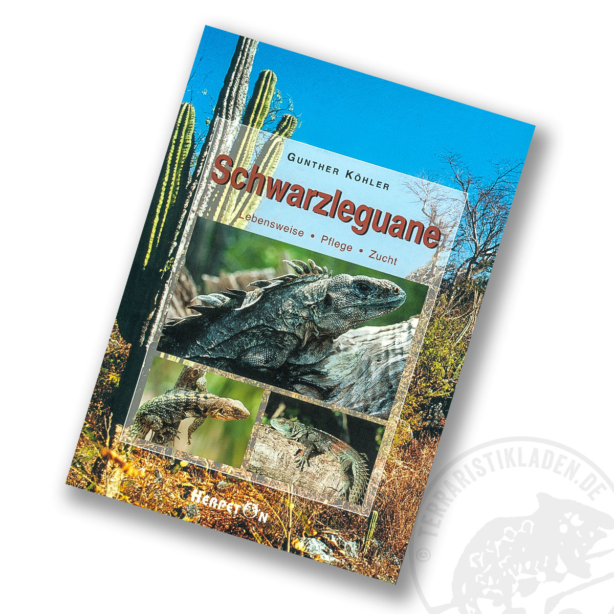 Schwarzleguane