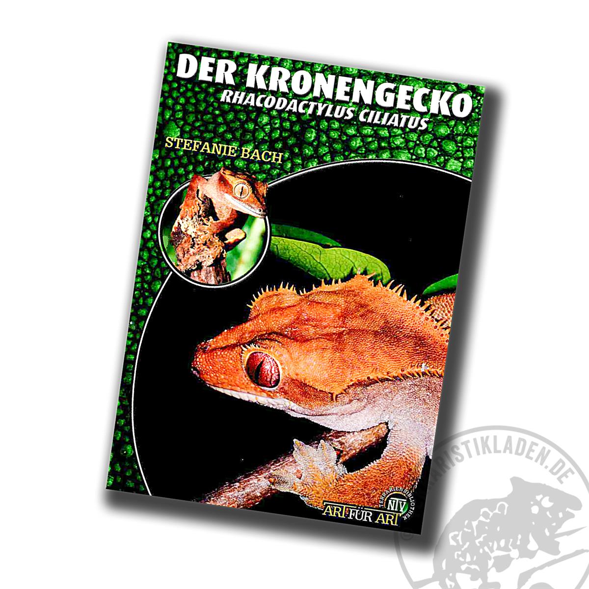 Der Kronengecko Correlophus