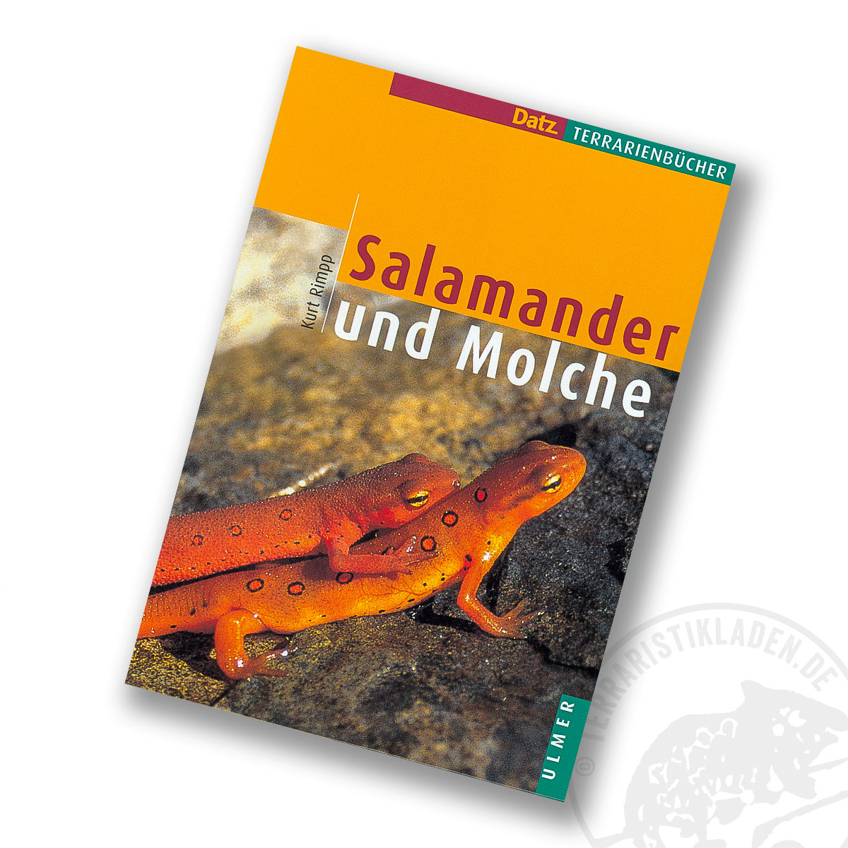 Salamander und Molche