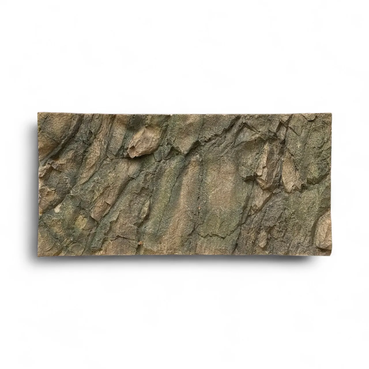 Terrariumrückwand