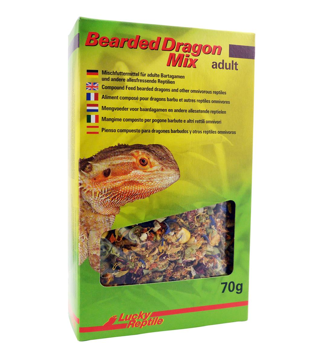 Lucky Reptile Bearded Dragon Mix Adult