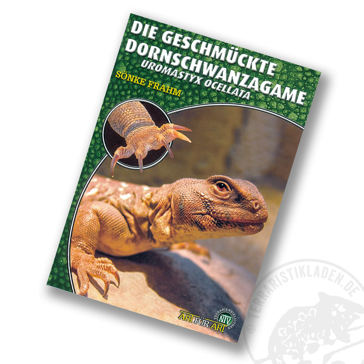 Art für Art Die Geschmückte Dornschwanzagame