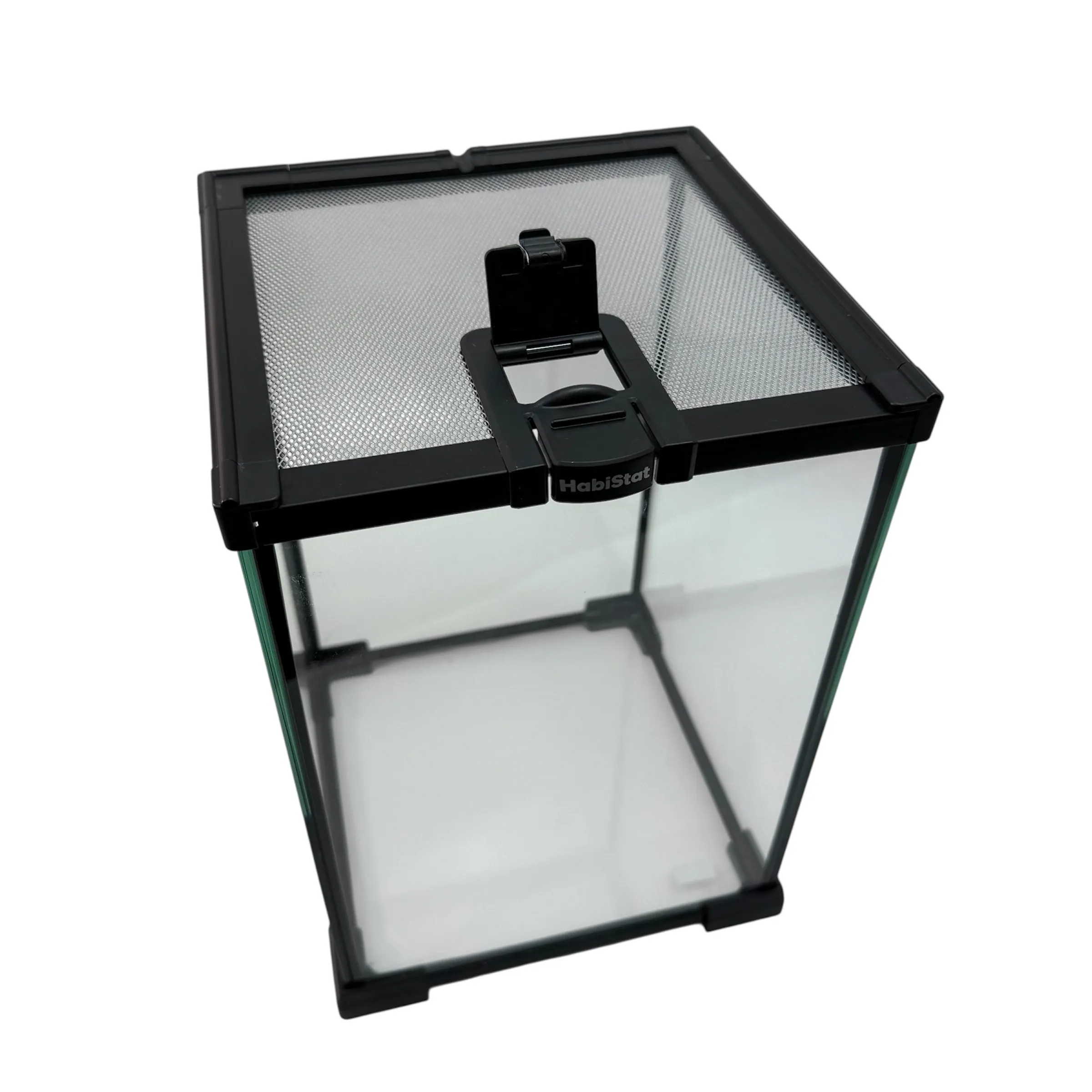 Insekten Starterkit