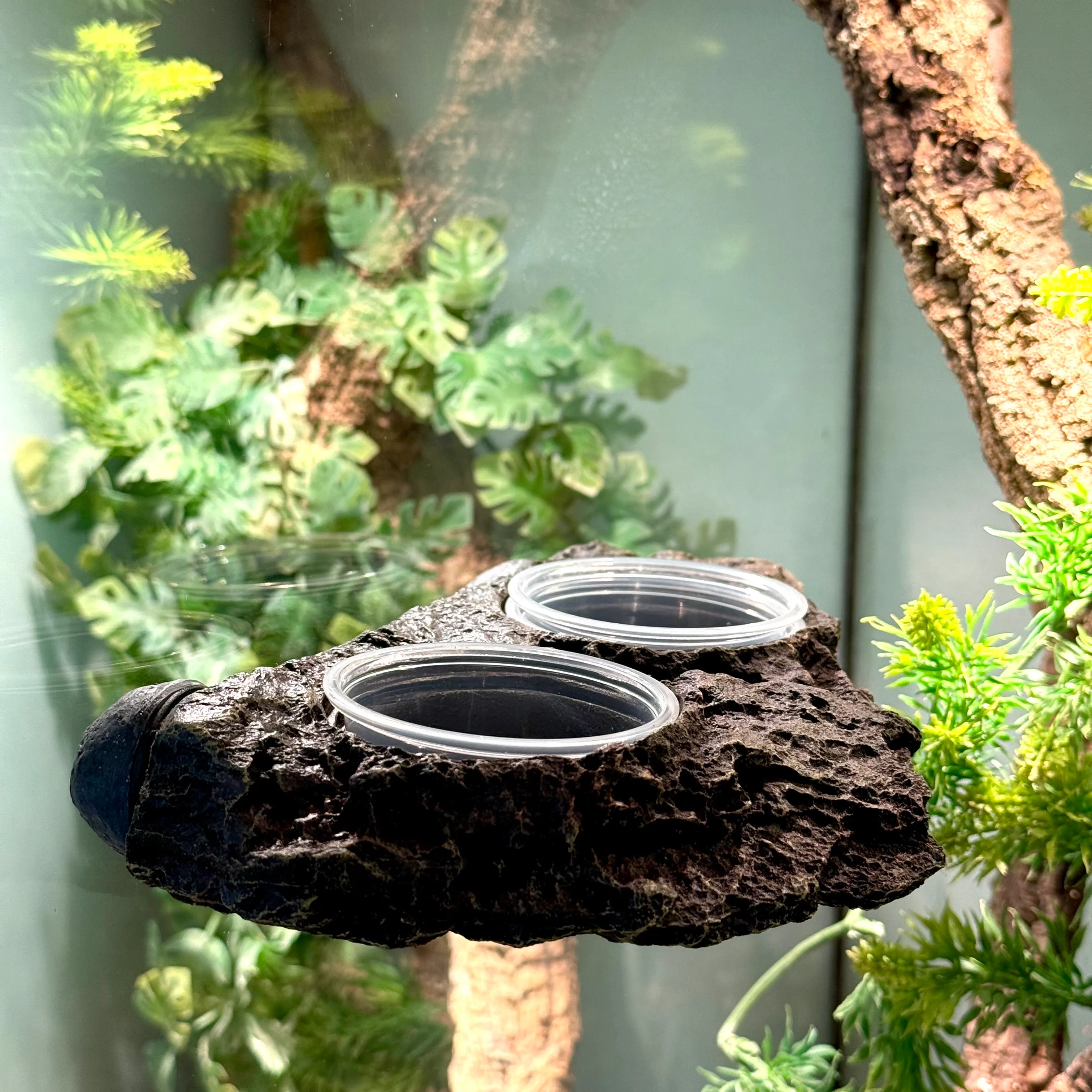 Gecko Station
