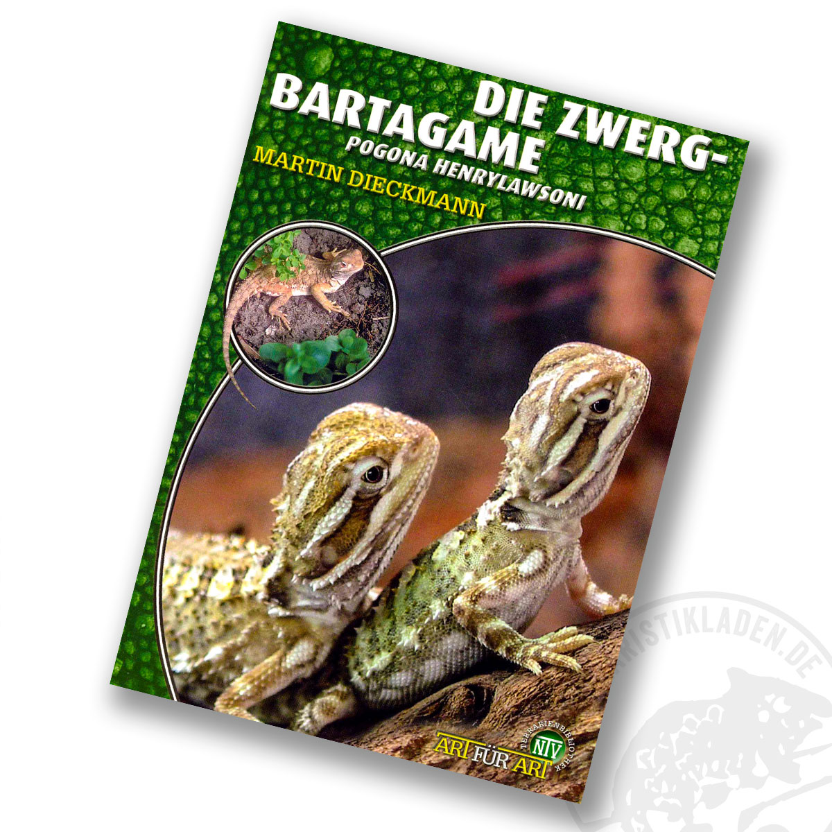 Art für Art Die Zwergbartagame