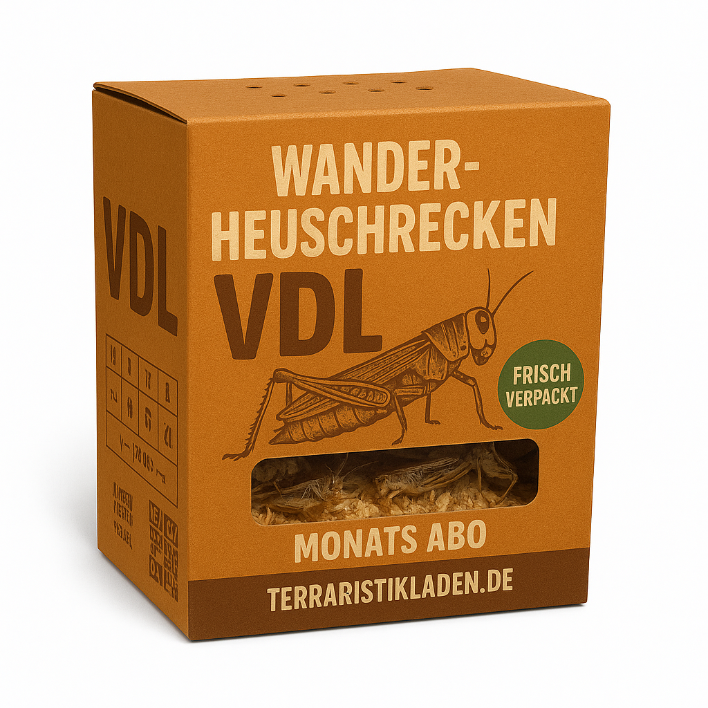 Heuschrecken VDL - Subadult Abo 1 Monat 100 Stück 14-tägig