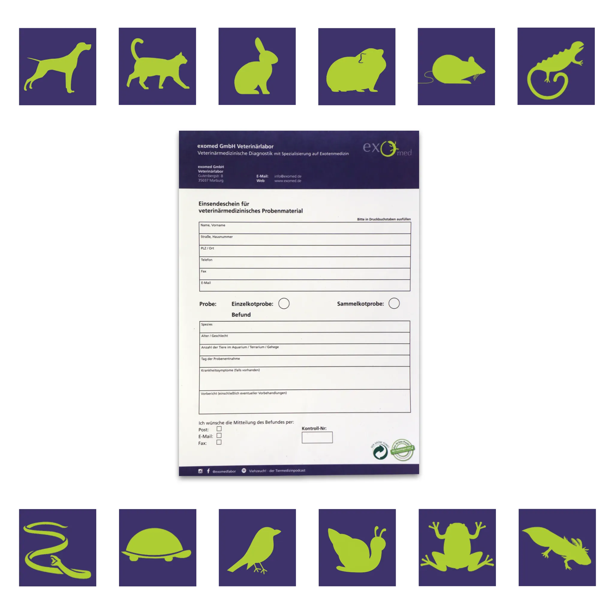 Kotuntersuchung für Reptilien – Basis-Test auf Darmparasiten von exomed
