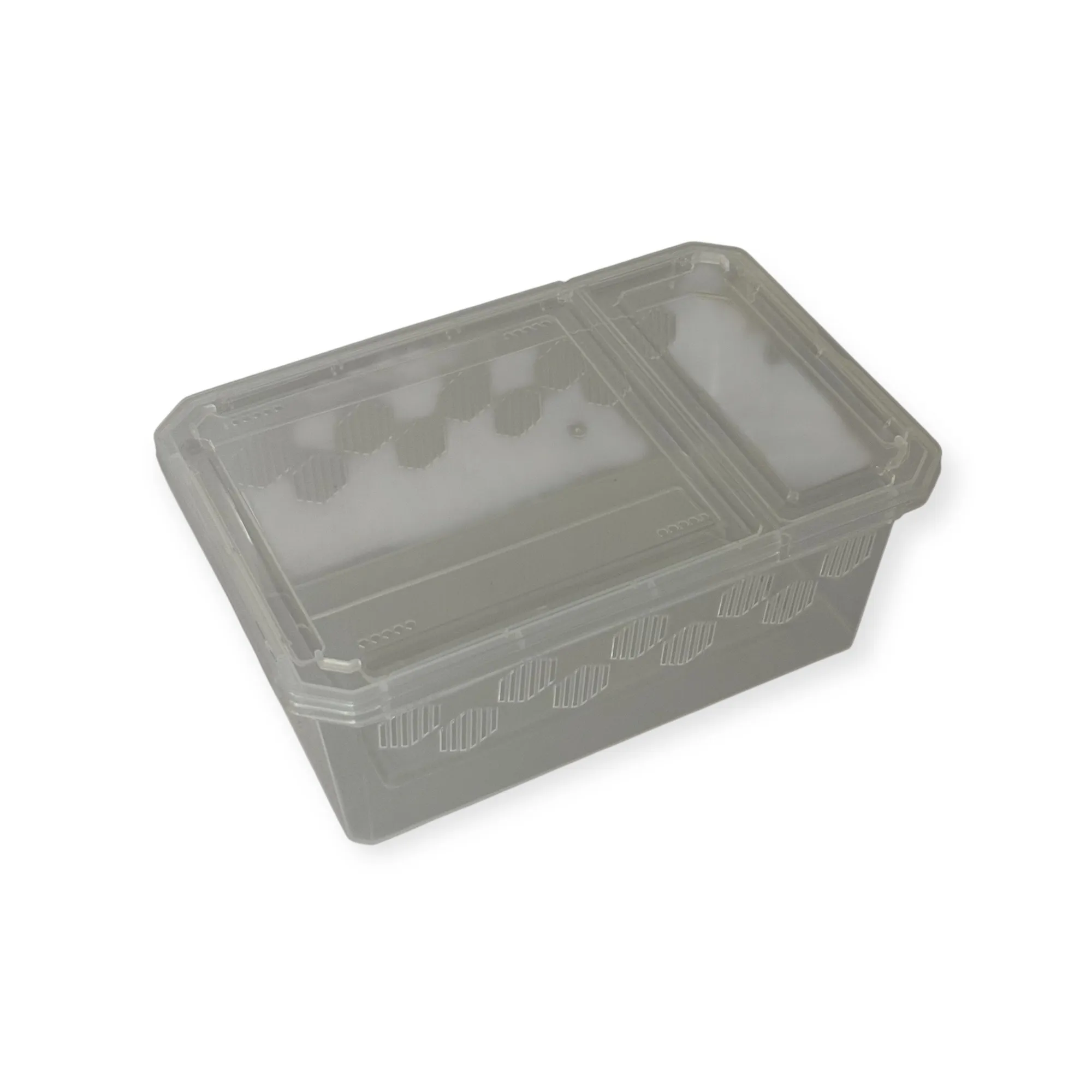 Repto Transportbox