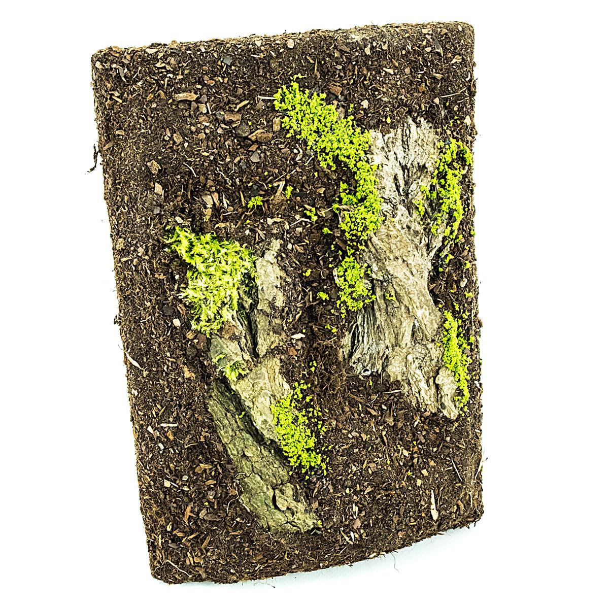 Terrarienrückwand Exklusiv 18 x 26 cm