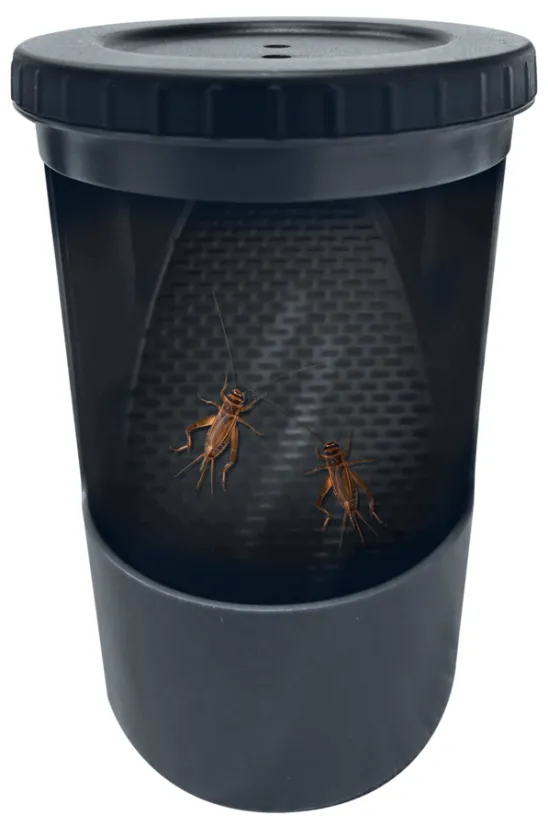 Repto Insect Buffet