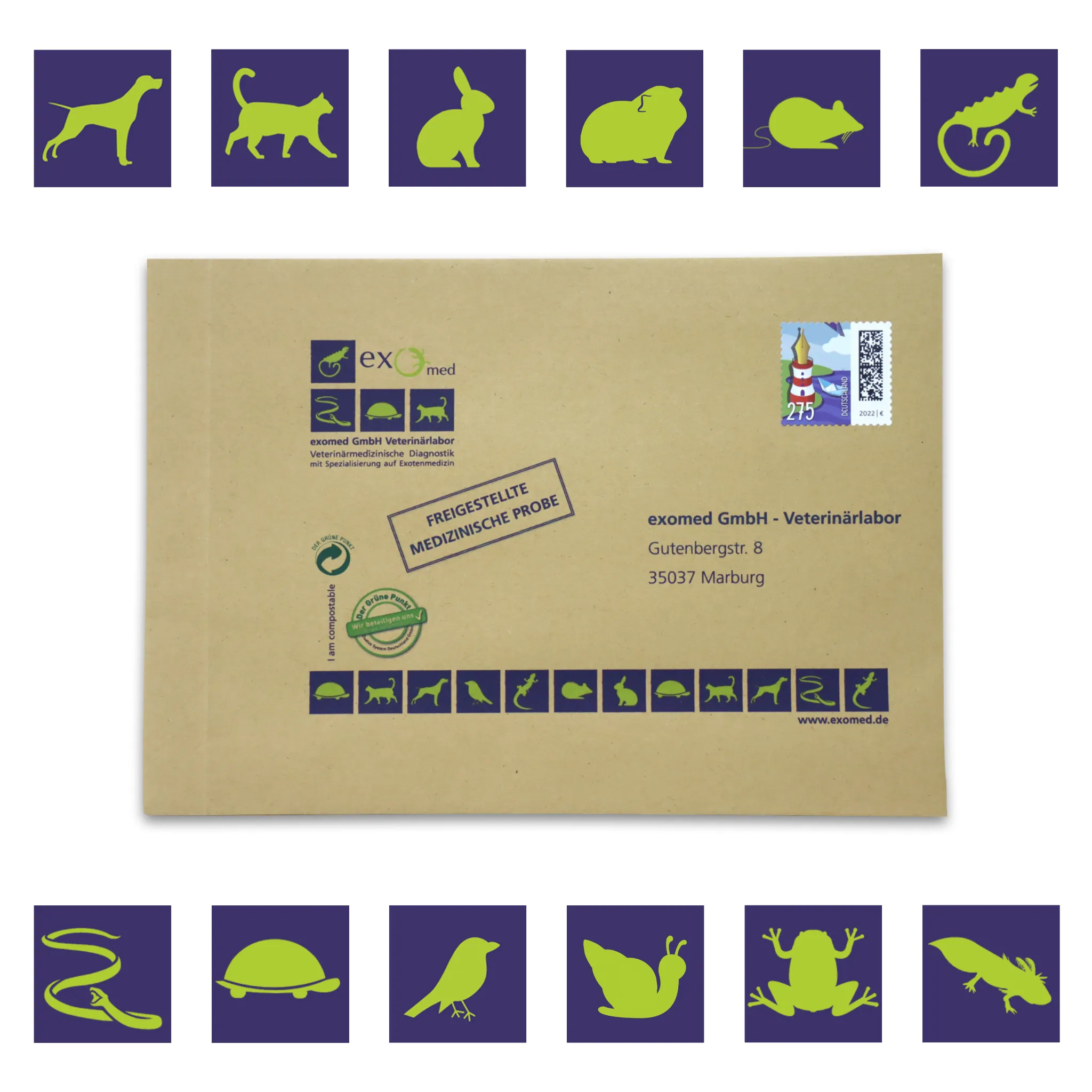 Kotuntersuchung für Reptilien – Basis-Test auf Darmparasiten von exomed