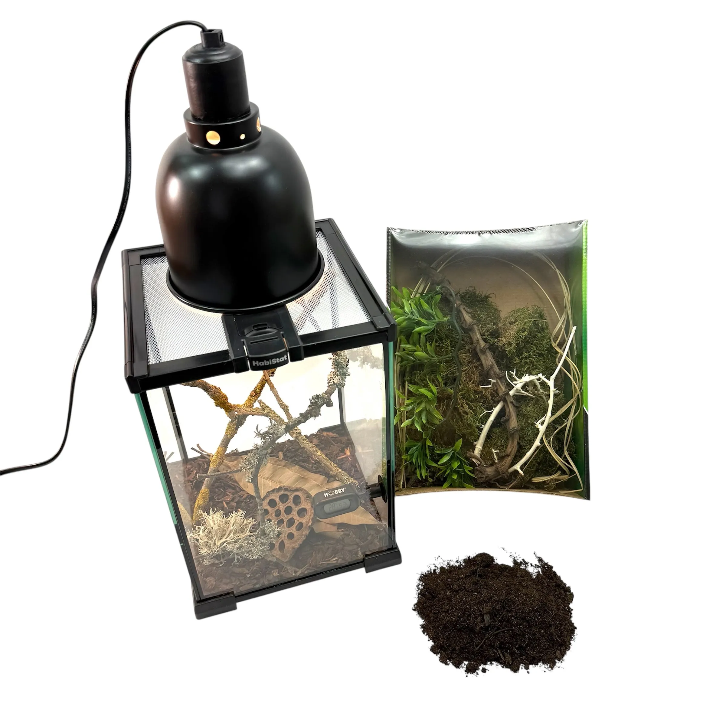 Insekten Starterkit