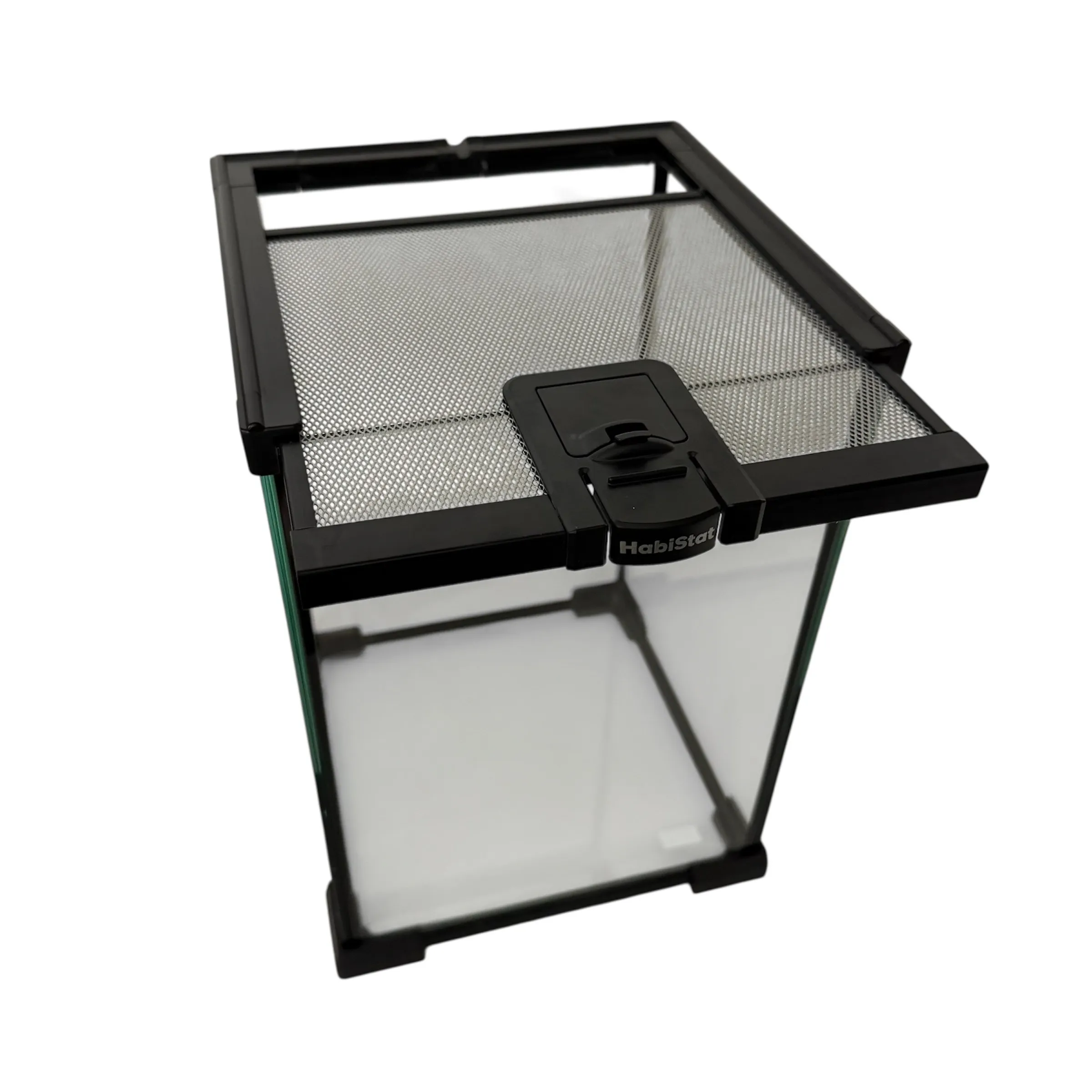 Insekten Starterkit