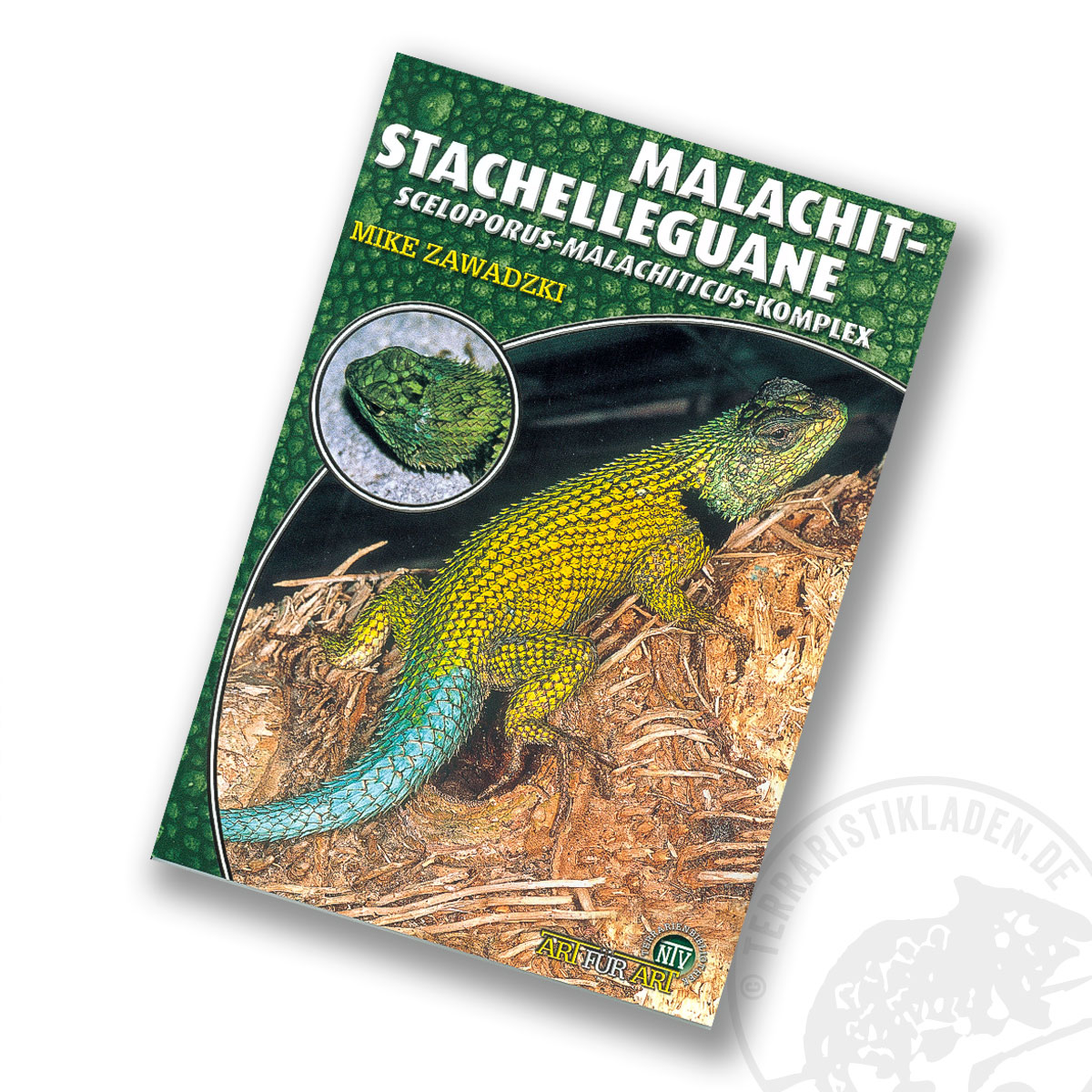 Art für Art Malachit-Stachelleguane
