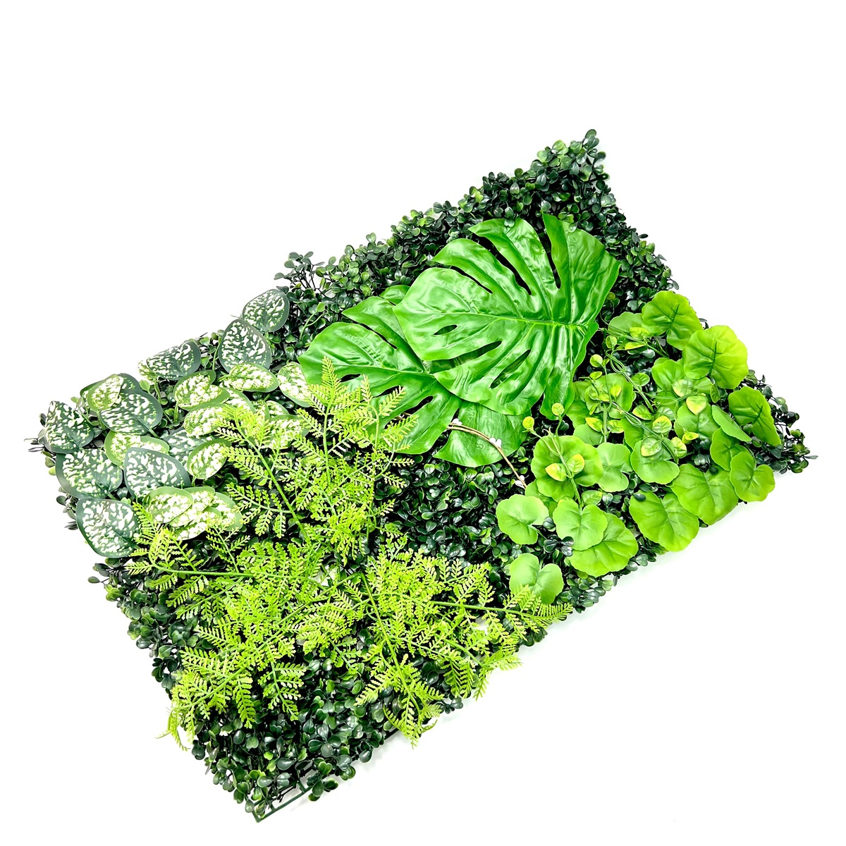 Pflanzen Terrarium Rückwand