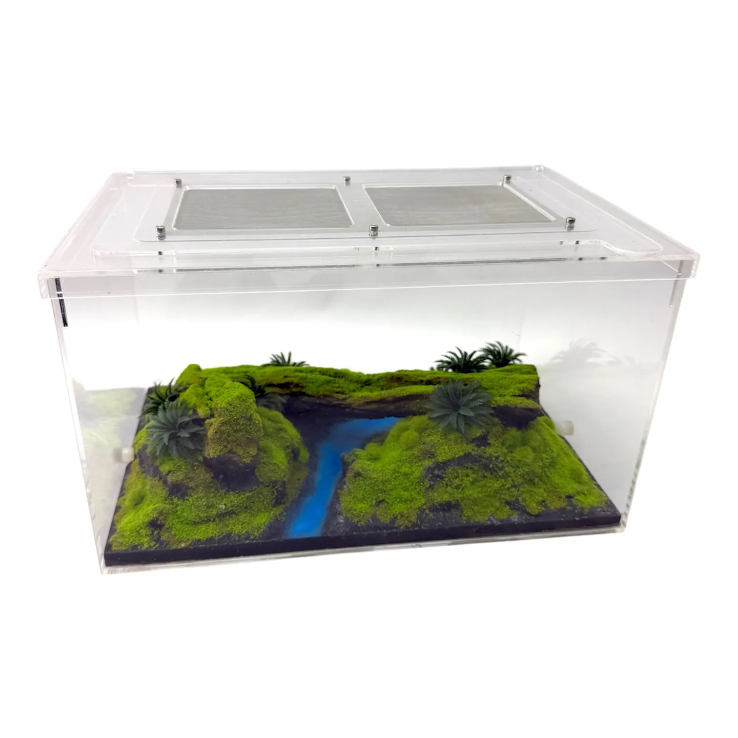 Ameisen Arena Ant Paradise Pro