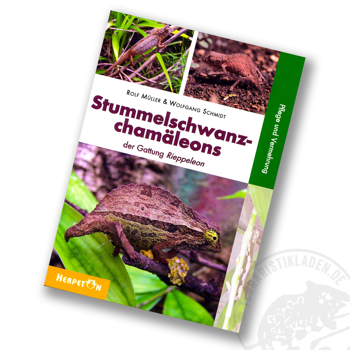 Stummelschwanzchamäleons - Die Gattung Rieppeleon