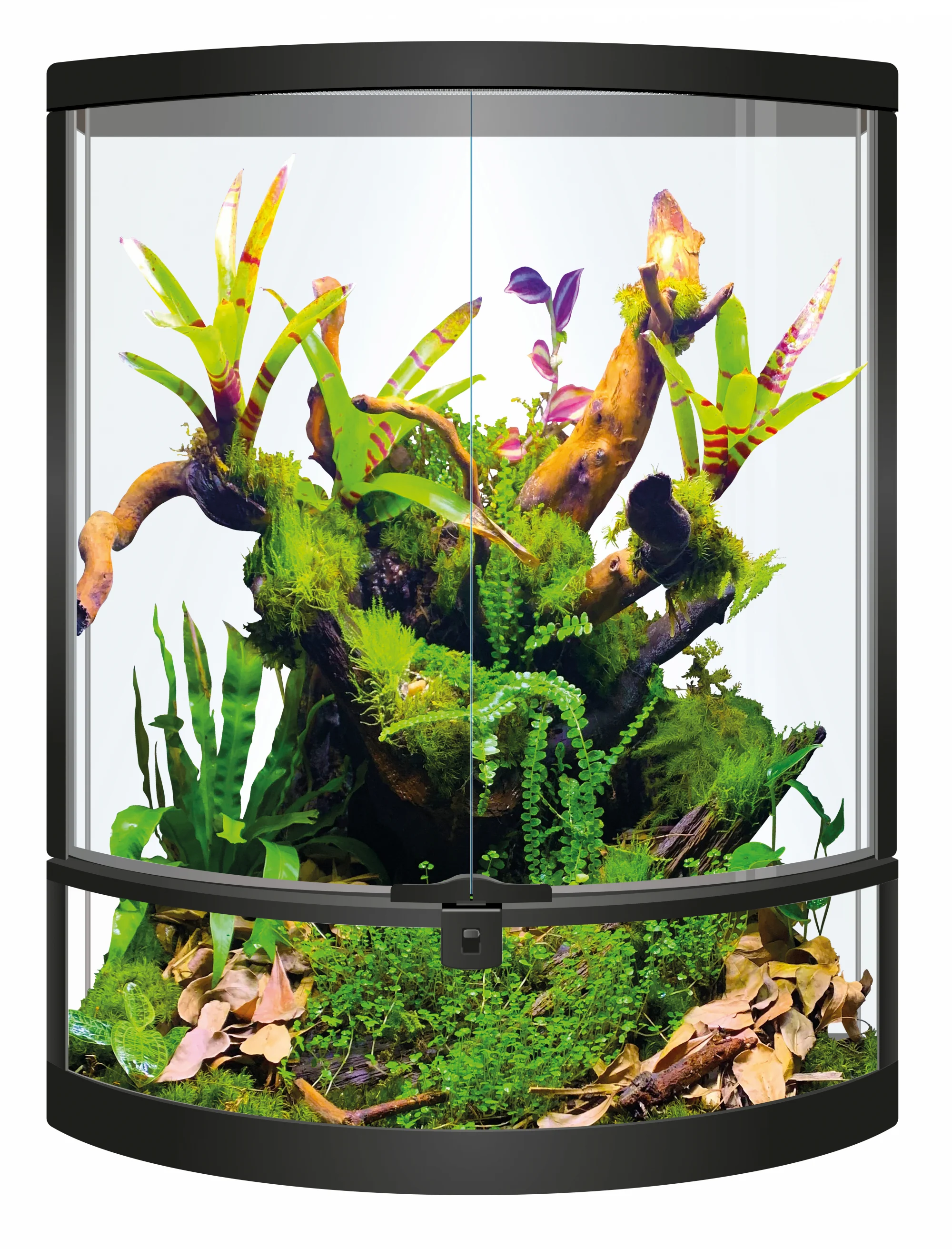 Repto Terra Half Moon Terrarium