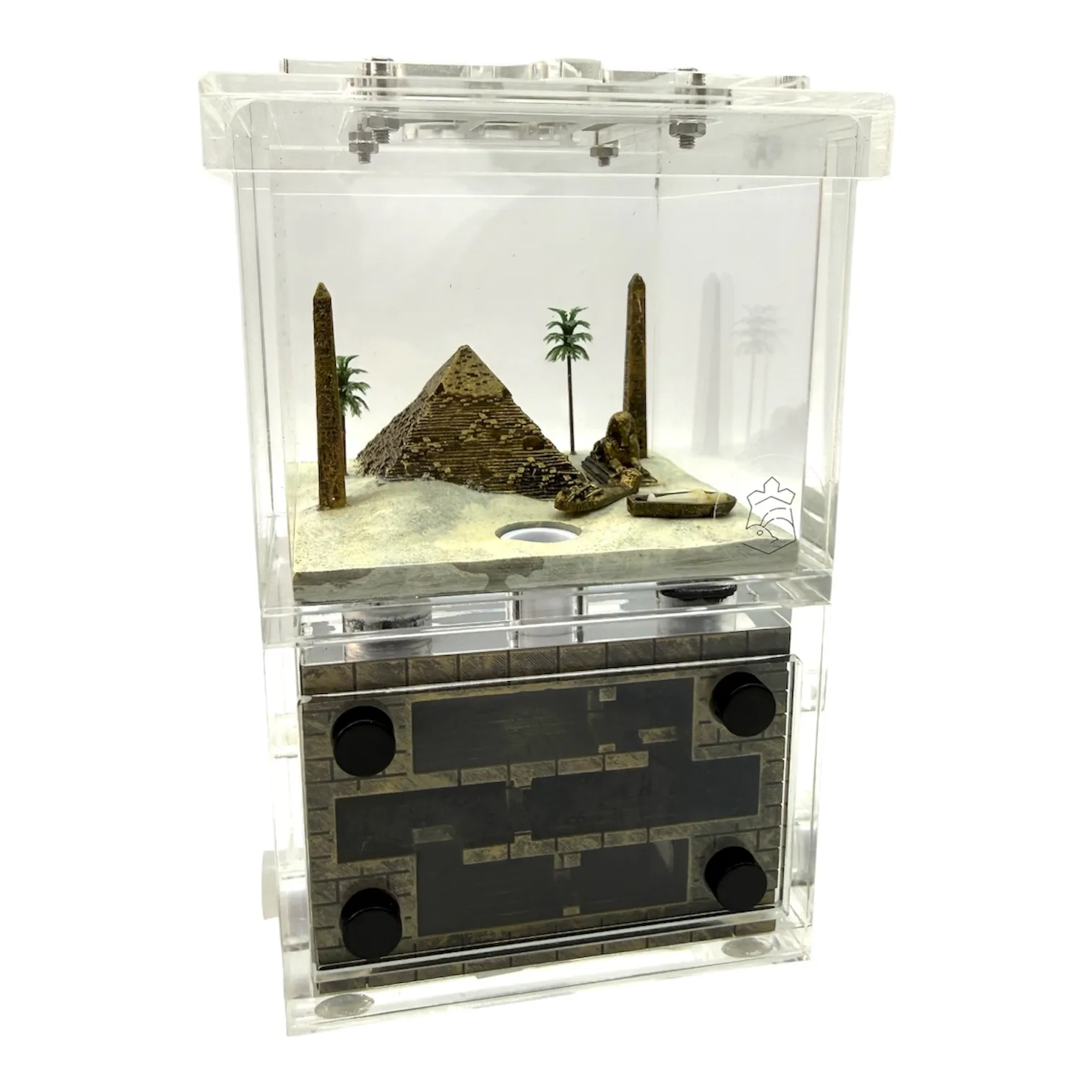 Ameisen- Nest -Arena - Ant paradise Pro