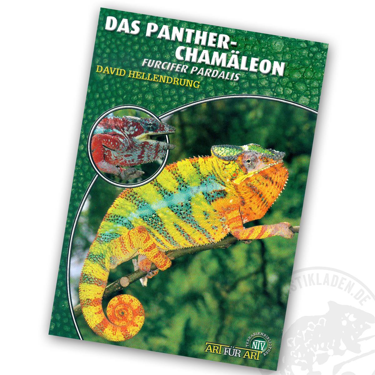 Art für Art Das Pantherchamäleon