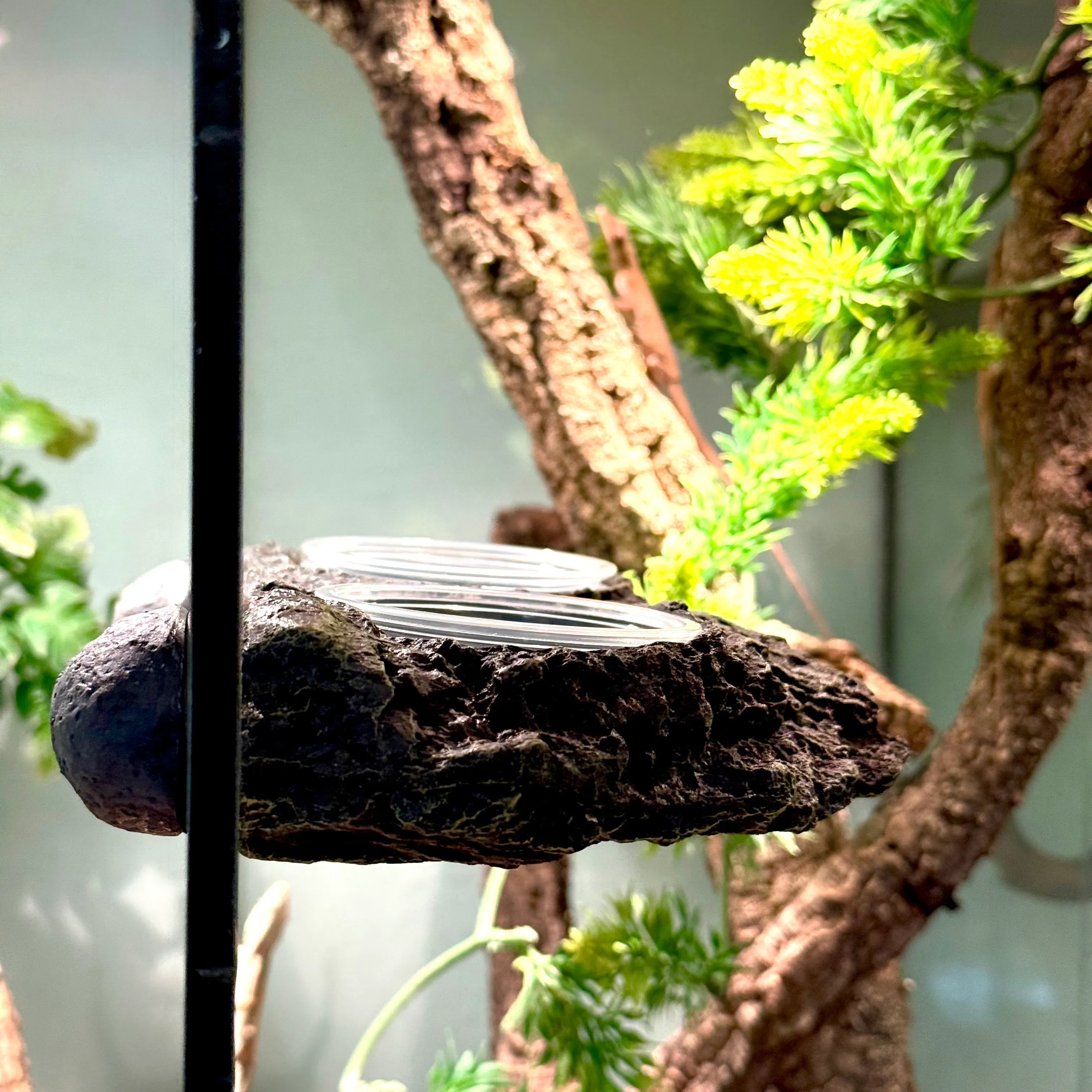 Gecko Station