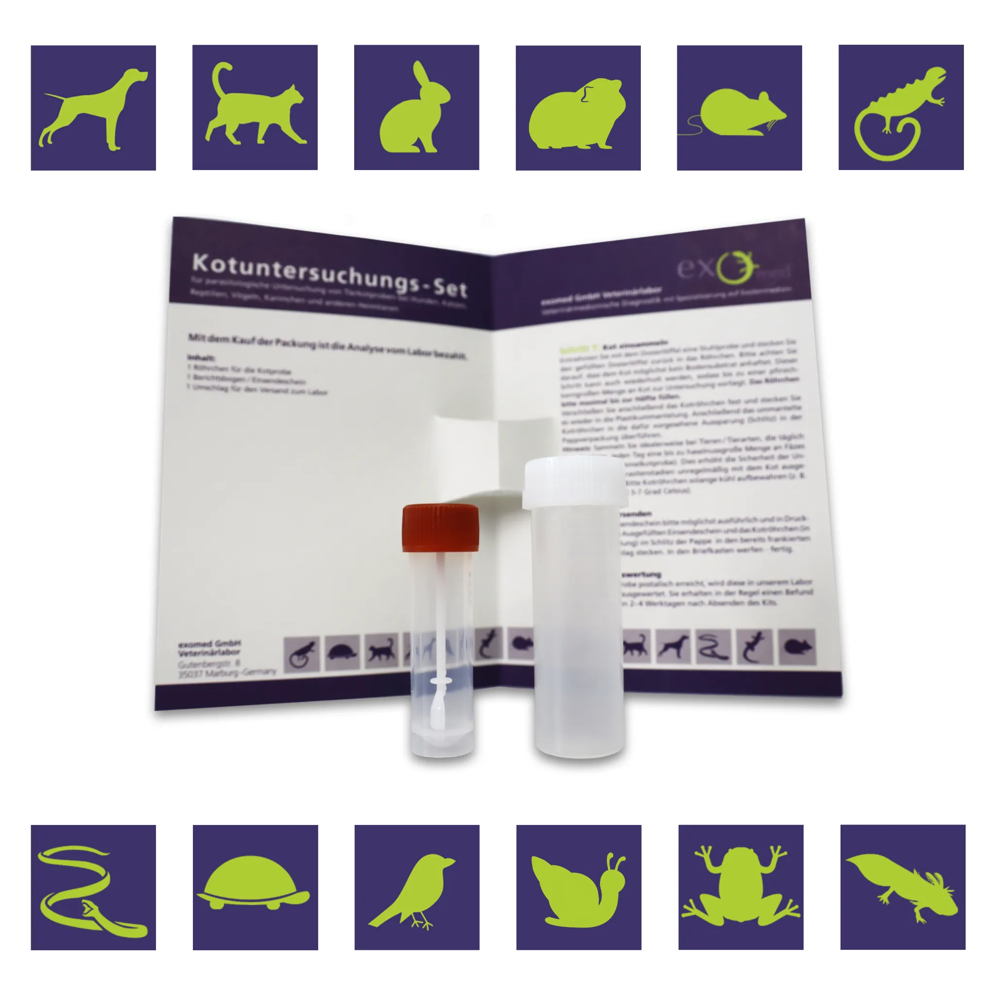 Kotuntersuchung für Reptilien – Basis-Test auf Darmparasiten von exomed