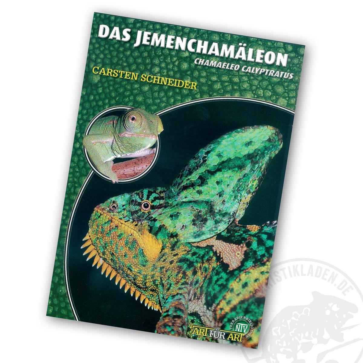 Art für Art - Das Jemenchamäleon