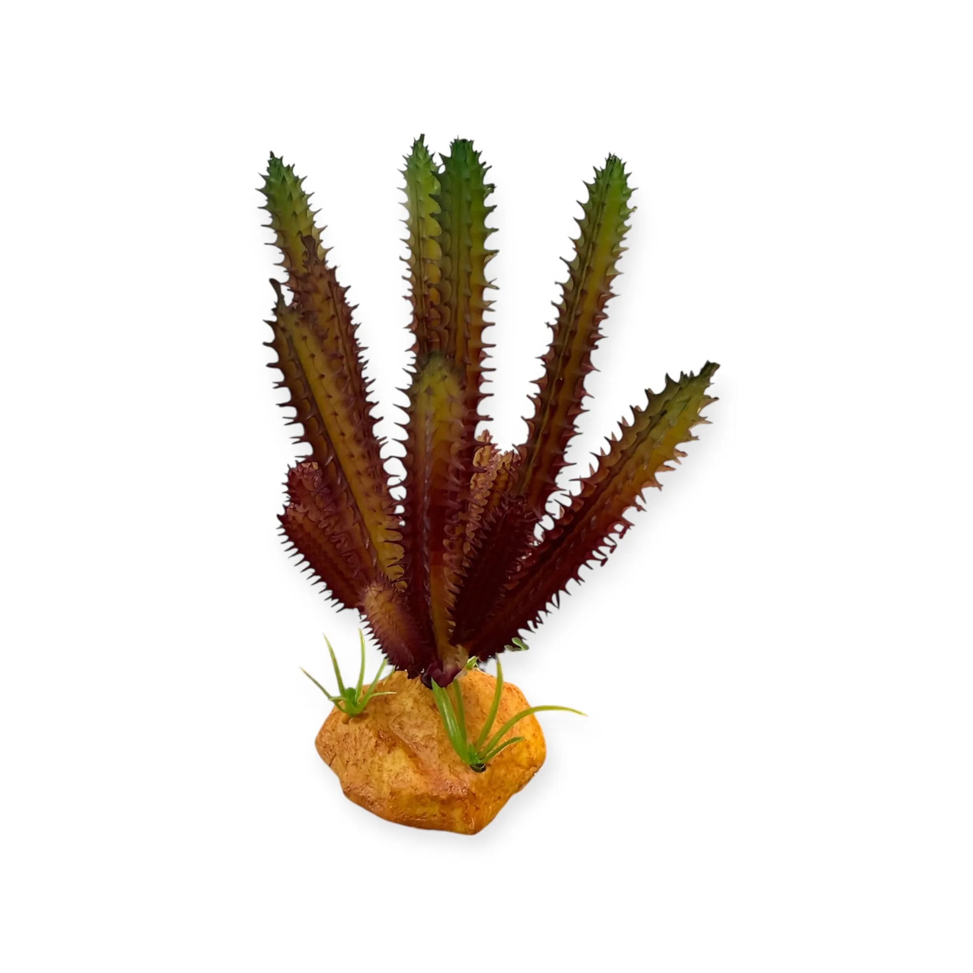 REPTO PLANT CACTUS NEEDLE RED