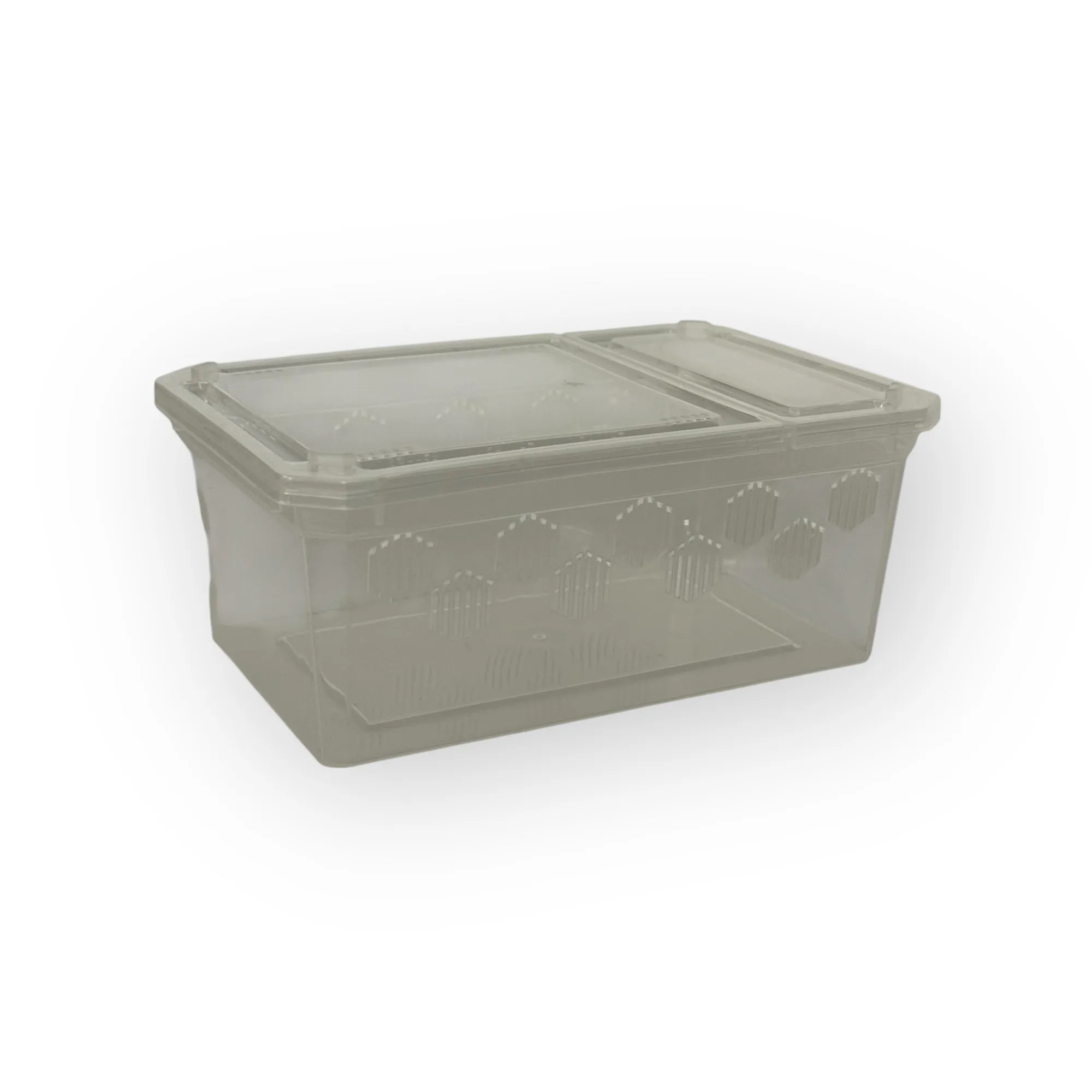 Repto Transportbox