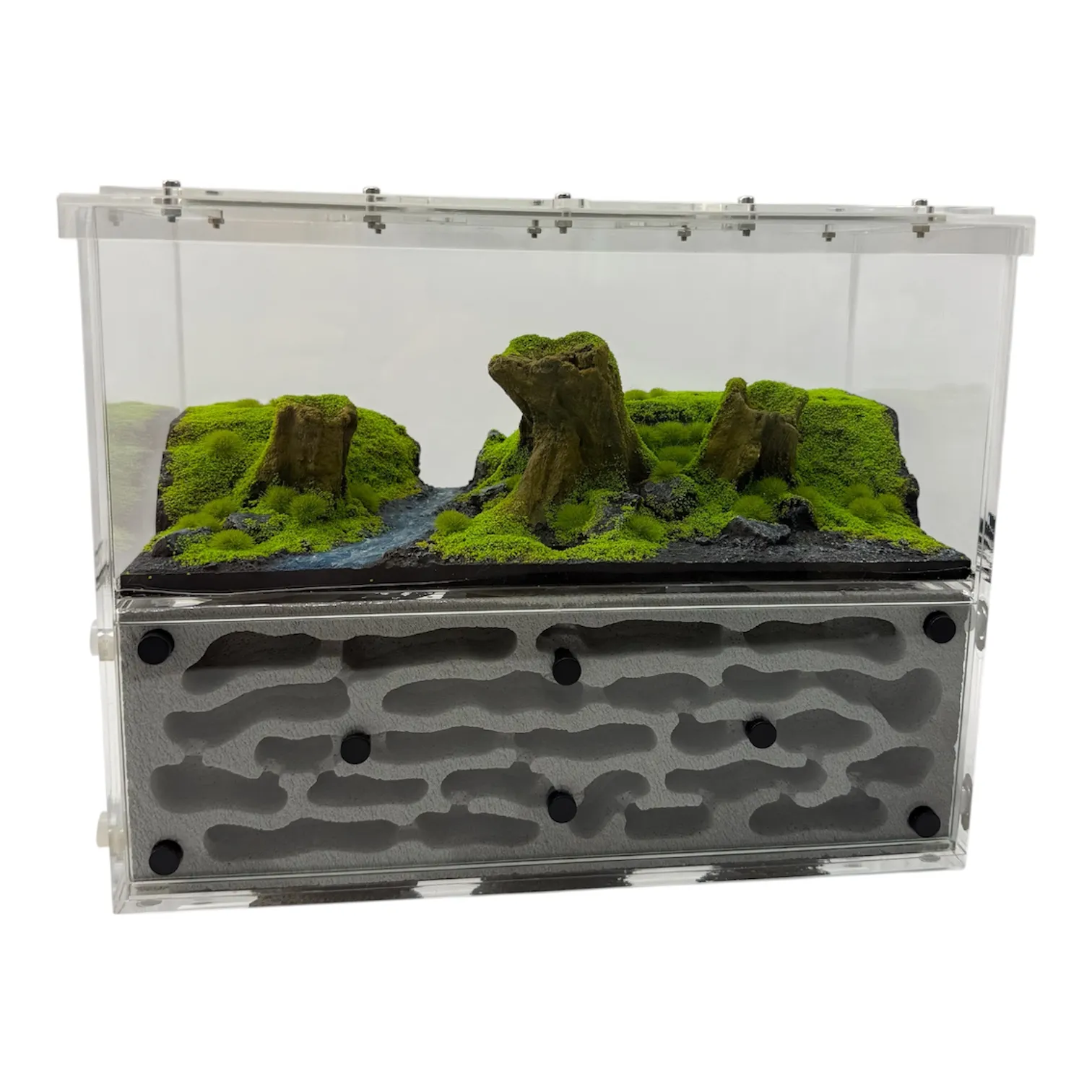 Formicarium Ant Paradise Pro