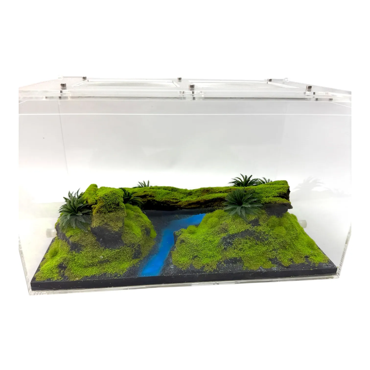 Ameisen Arena Ant Paradise Pro