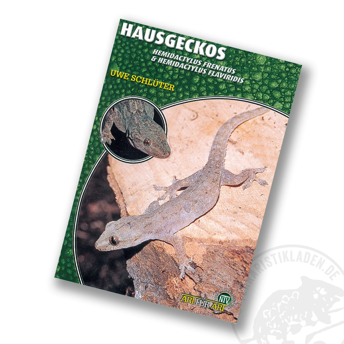 Art für Art Hausgeckos (Hemidactylus Frenatus & Hemidactylus Flaviridis)