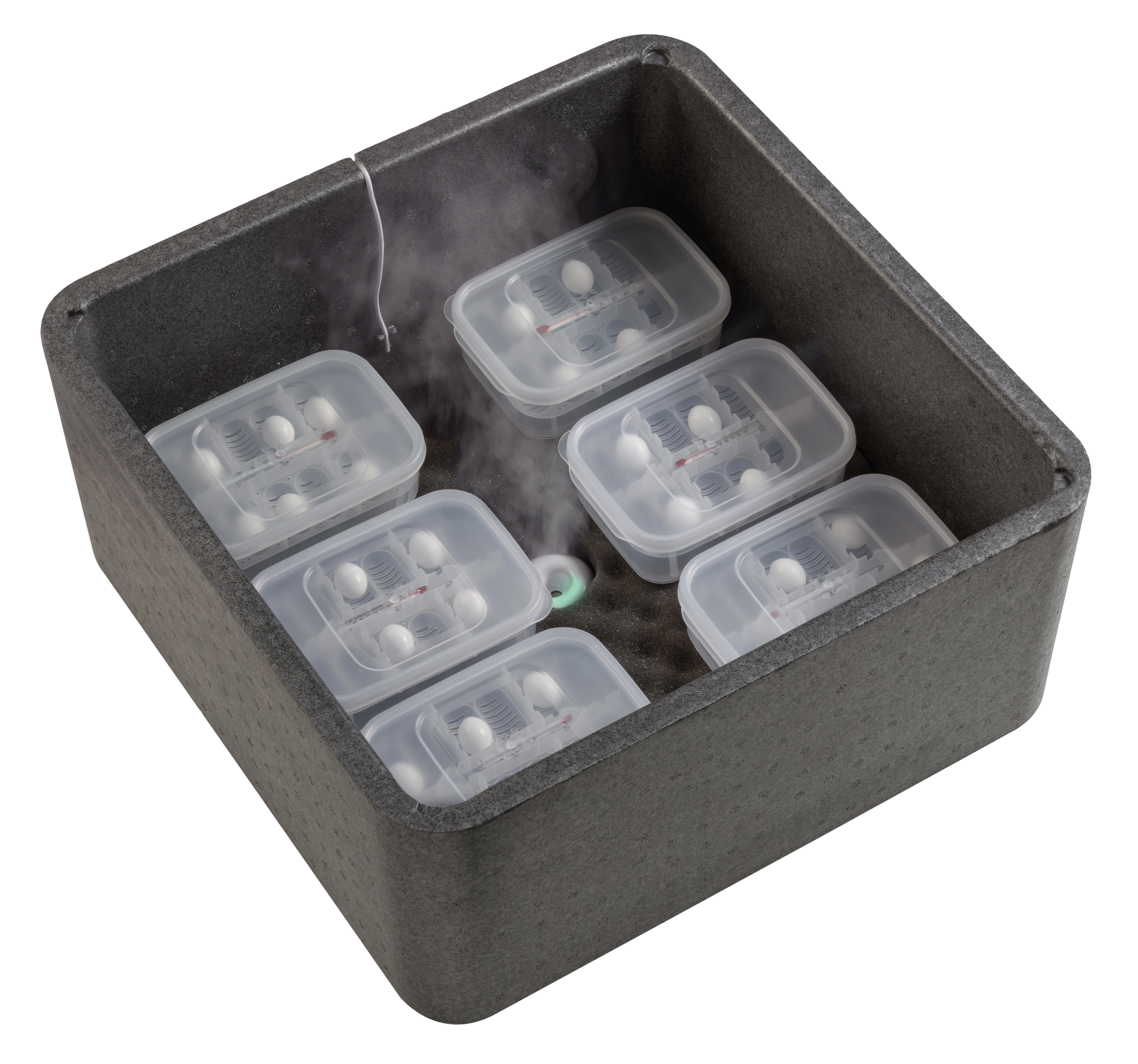 Incubator Brutmaschine
