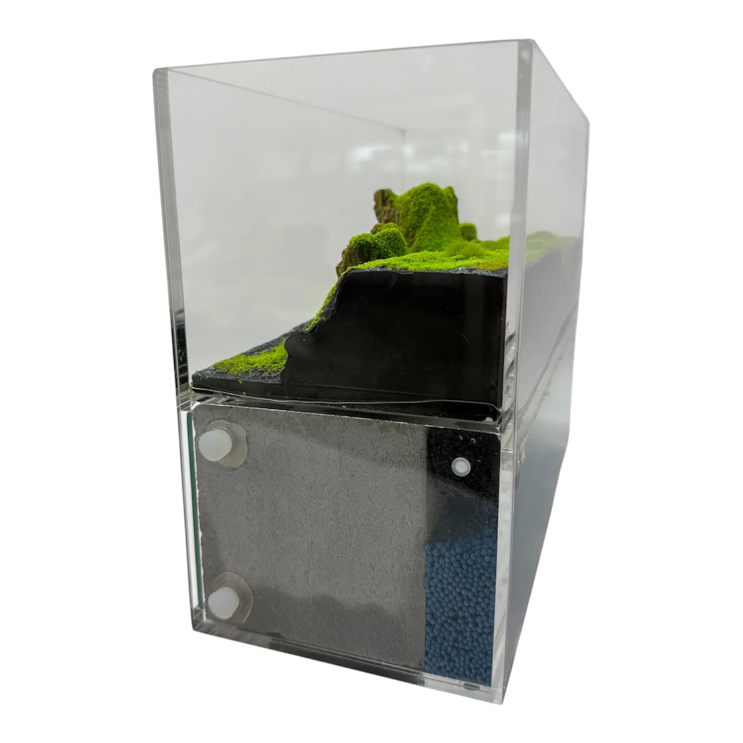 Formicarium Ant Paradise Pro