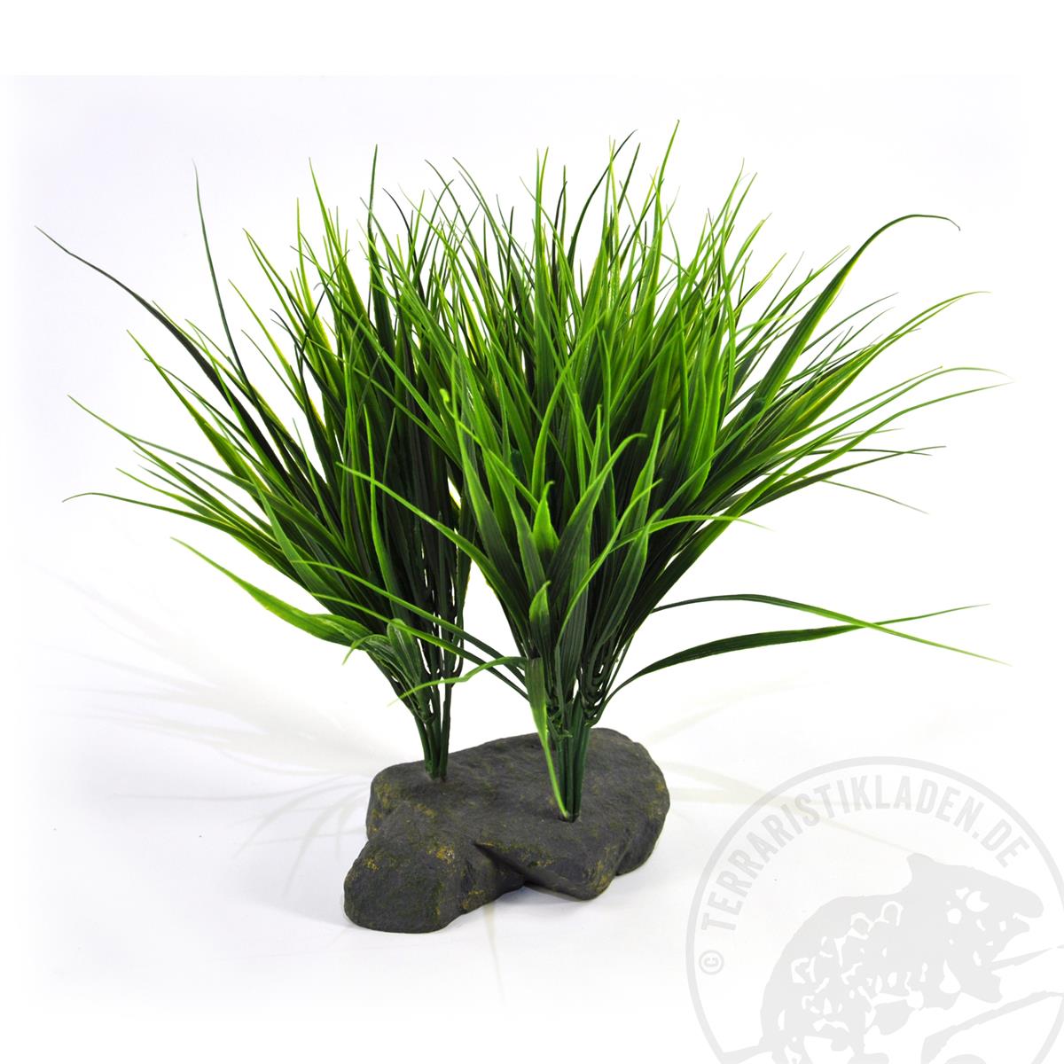 Sumatra Grass