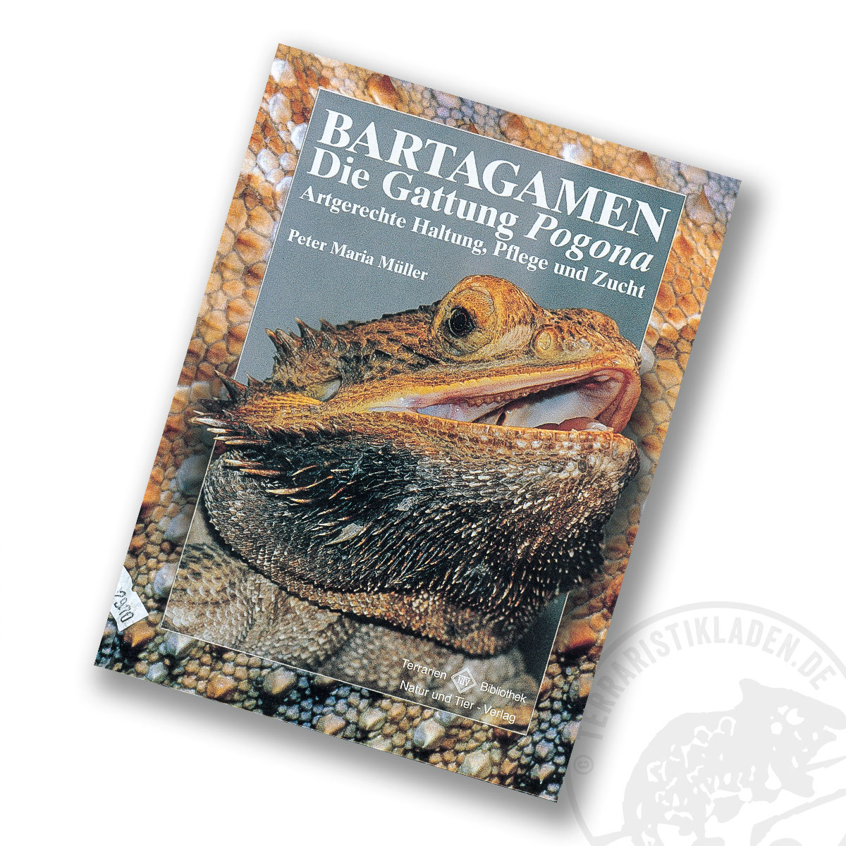 Bartagamen – Die Gattung Pogona