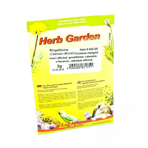 Lucky Reptile Herb Garden Ringelblume